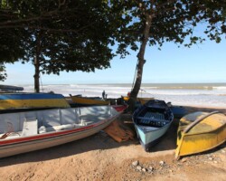 brazil kayaks from industry photo gallery